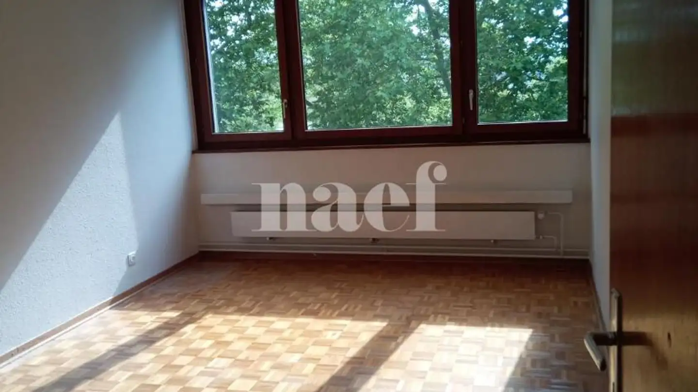 Apartment for rent - Chemin Nicolas- Bogueret 4, 1219 Aïre - Photo 4
