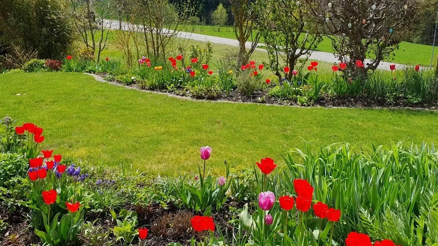 Einfamilienhaus kaufen - Erlenweg 15, 3076 Worb - Foto 4
