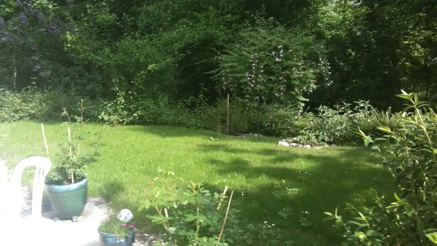 Sala hobby in affitto - Route Du Grand-Lancy, 1212 Grand-Lancy - Foto 2
