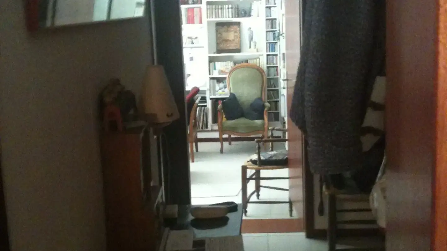 Sala hobby in affitto - Route Du Grand-Lancy, 1212 Grand-Lancy - Foto 3