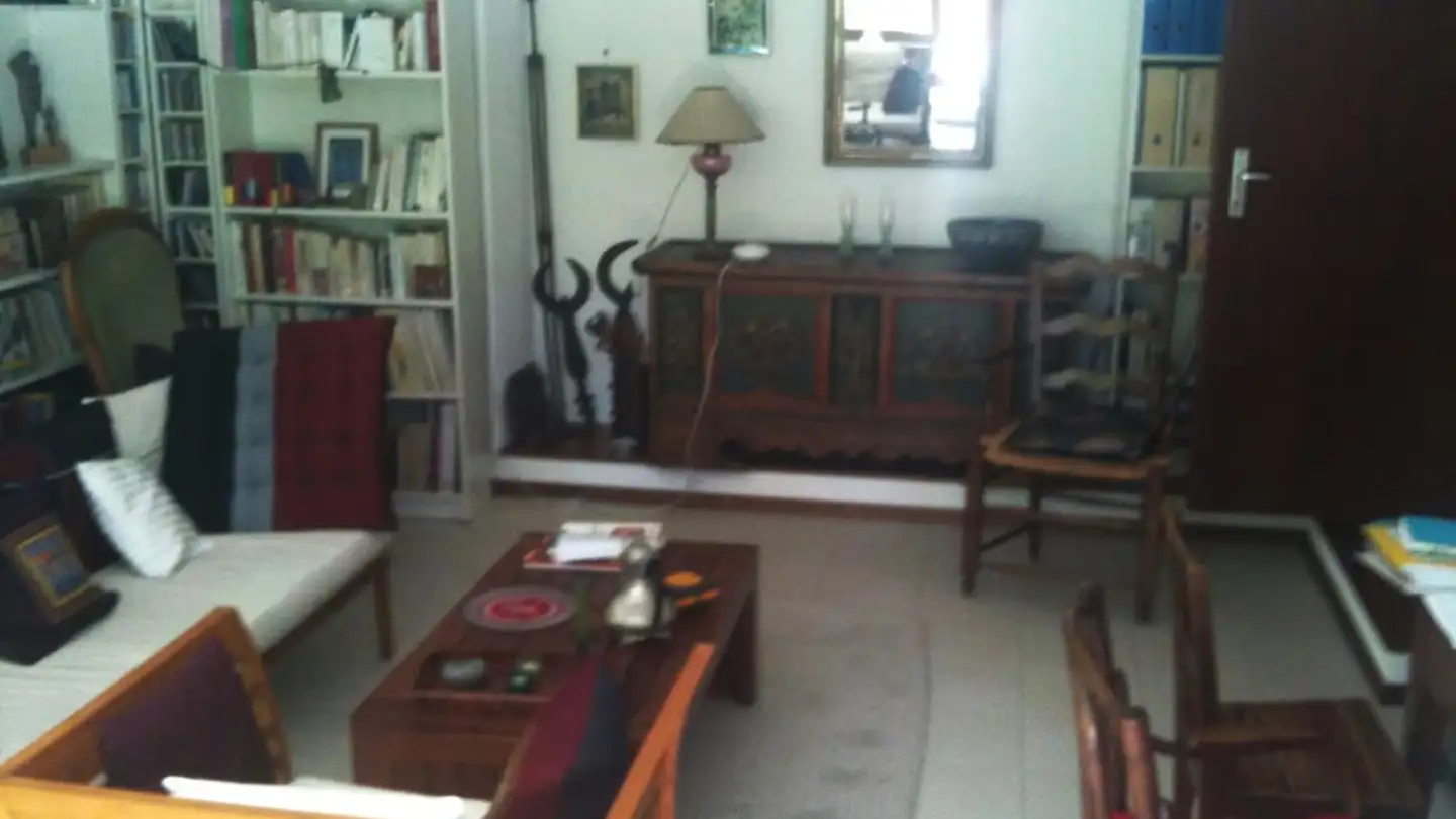 Sala hobby in affitto - Route Du Grand-Lancy, 1212 Grand-Lancy - Foto 4
