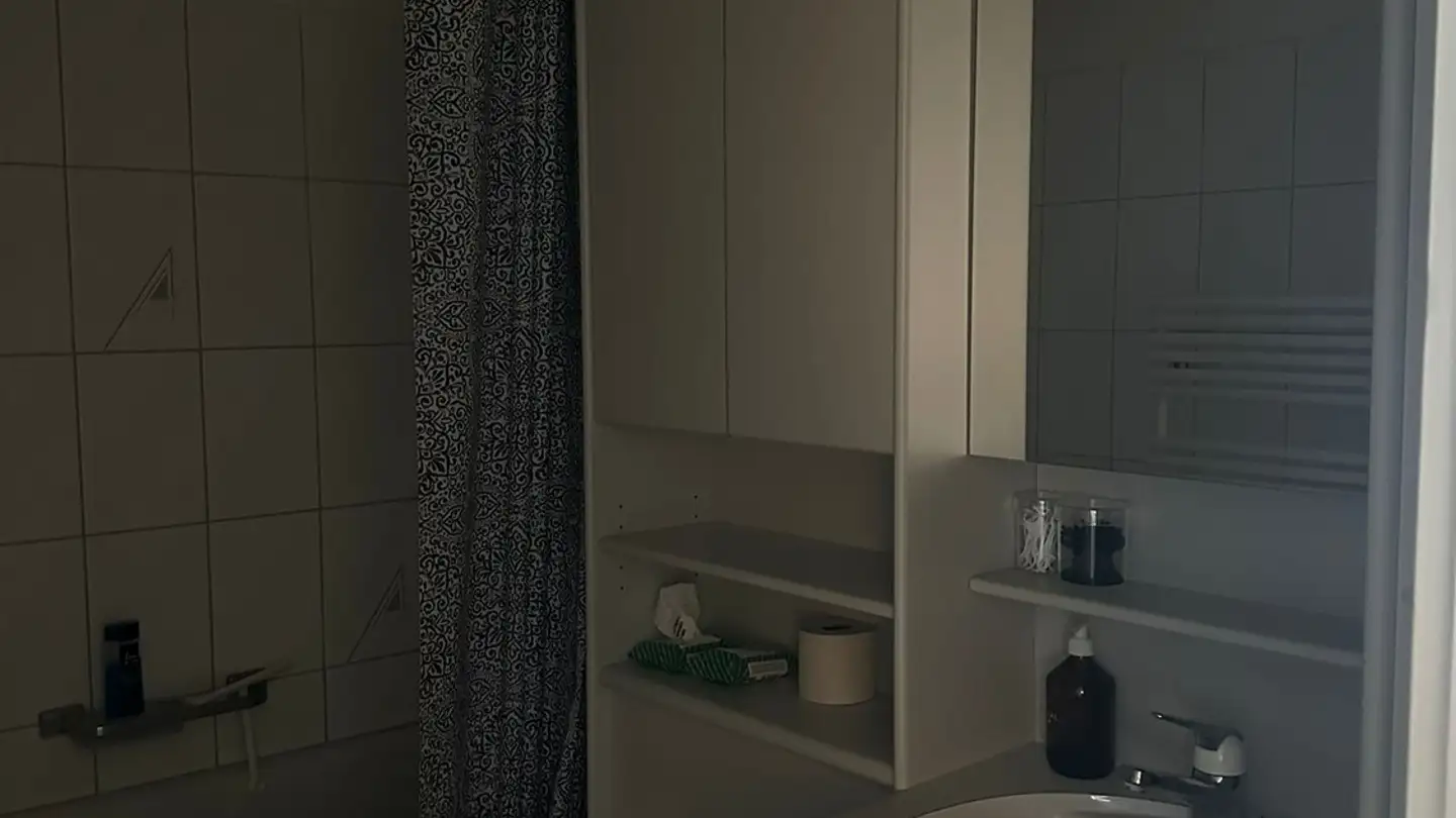 Appartamento in affitto - Knüslistrasse 12, 8004 Zürich - Foto 3