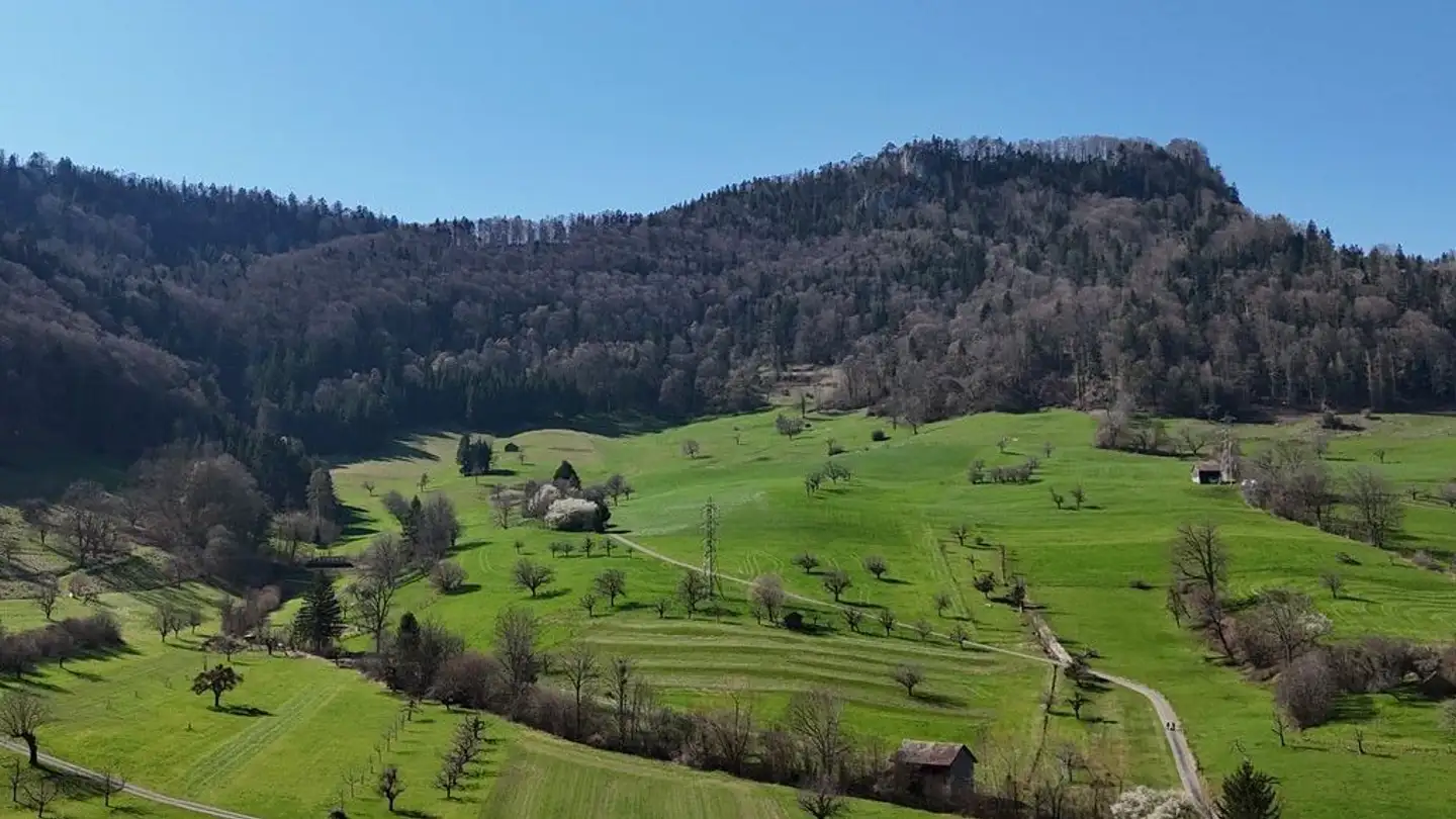Terreno edificabile in vendita - Mühleweg, 4228 Erschwil - Foto 4