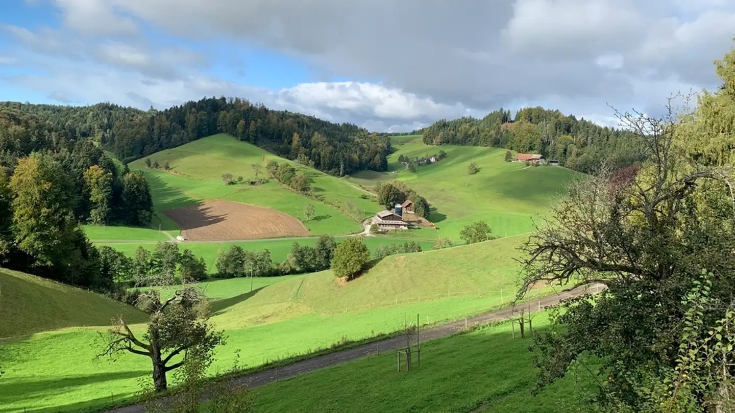 Immobilie mieten - 6260 Hintermoos