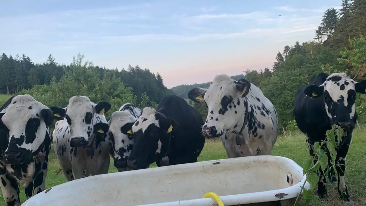 Fattoria in affitto - 6260 Hintermoos - Photo 2