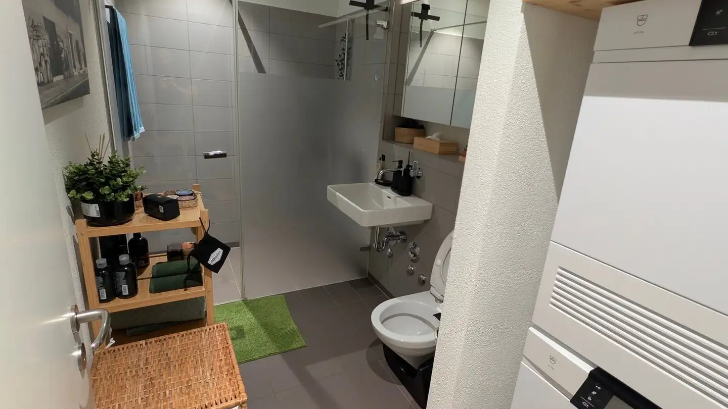 Appartamento in affitto - Alfred Comte-Strasse 9, 8953 Dietikon