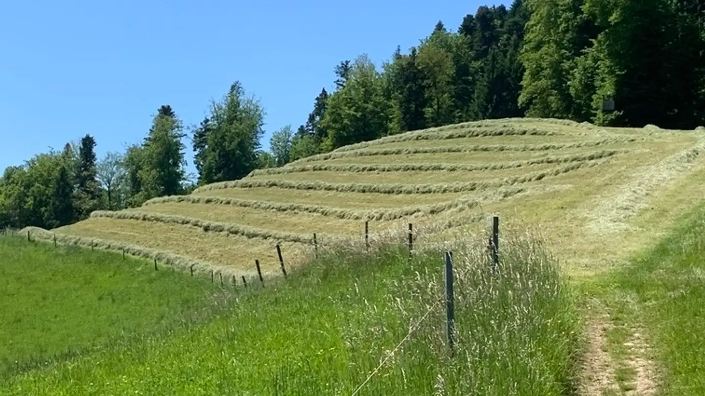 Fattoria in affitto - 6260 Hintermoos - Photo 3