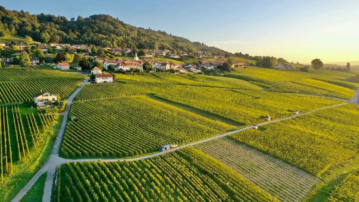 Villa for sale - 1172 Bougy-Villars