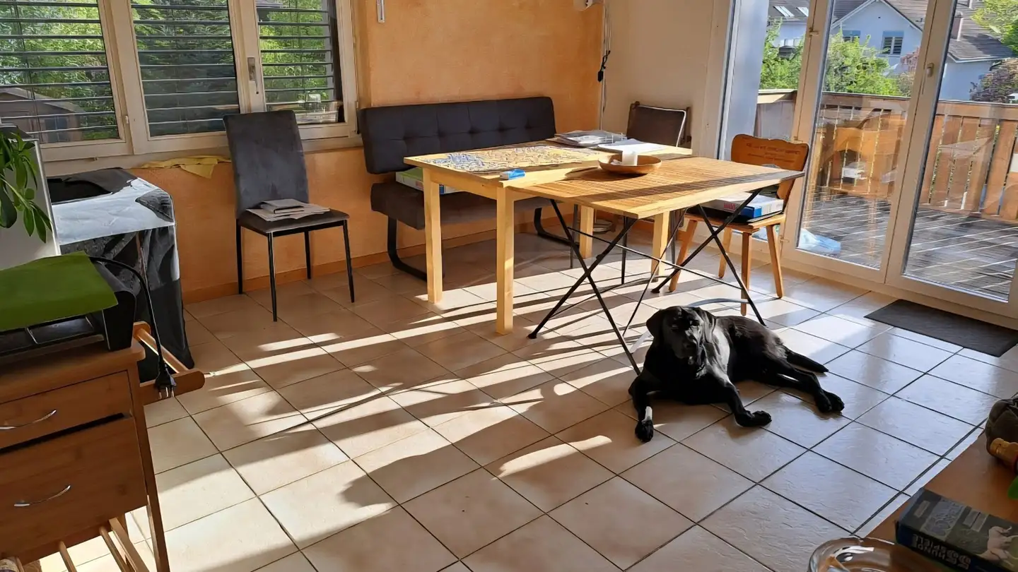 Wohnung mieten - 4556 Bolken - Foto 3