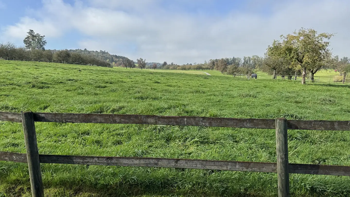 Wohnung mieten - Jakob Gsell-Weg 4, 9325 Roggwil TG - Foto 4