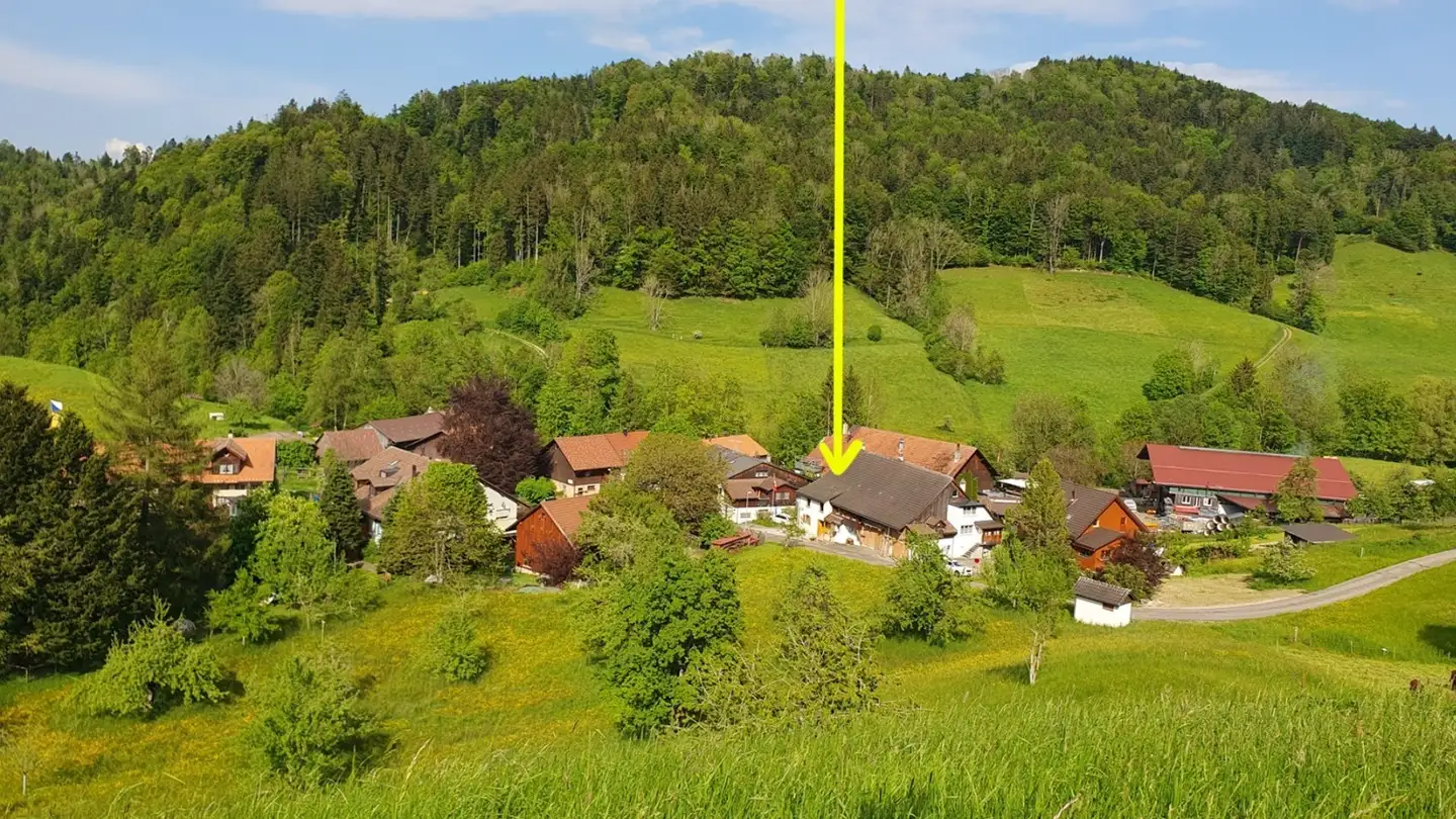 Casa singola in affitto - 8344 Bäretswil - Foto 2