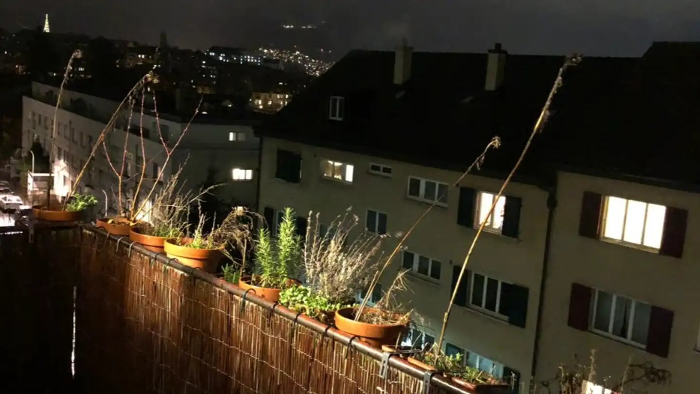 Appartamento in affitto - 3014 Bern - Foto 2