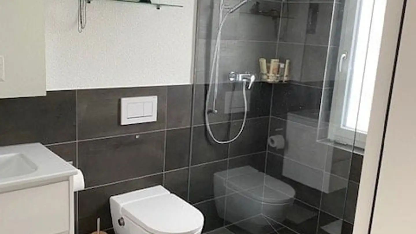 Appartement à louer - Grüenibachweg 6, 7270 Davos Platz - Photo 4