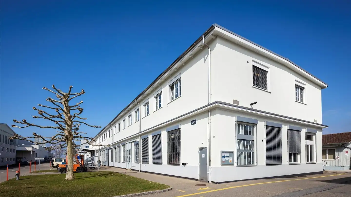 Gewerbe mieten - Dorfstrasse 1, 9423 Altenrhein - Foto 3