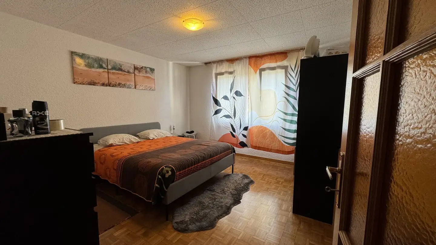 Appartamento in affitto - St. Johannserstrasse 28, 5312 Döttingen