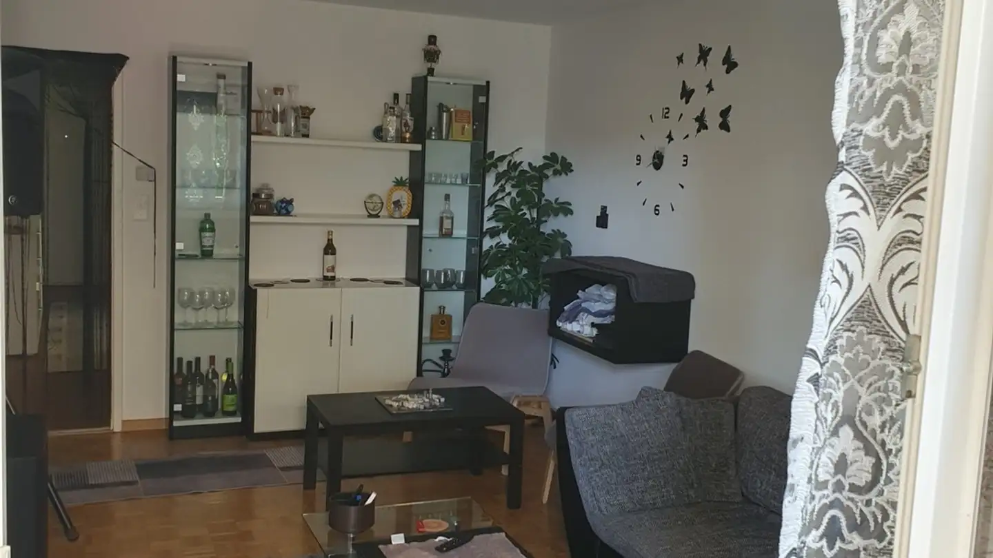 Appartement à louer - Siewerdtstrasse 89, 8050 Zürich