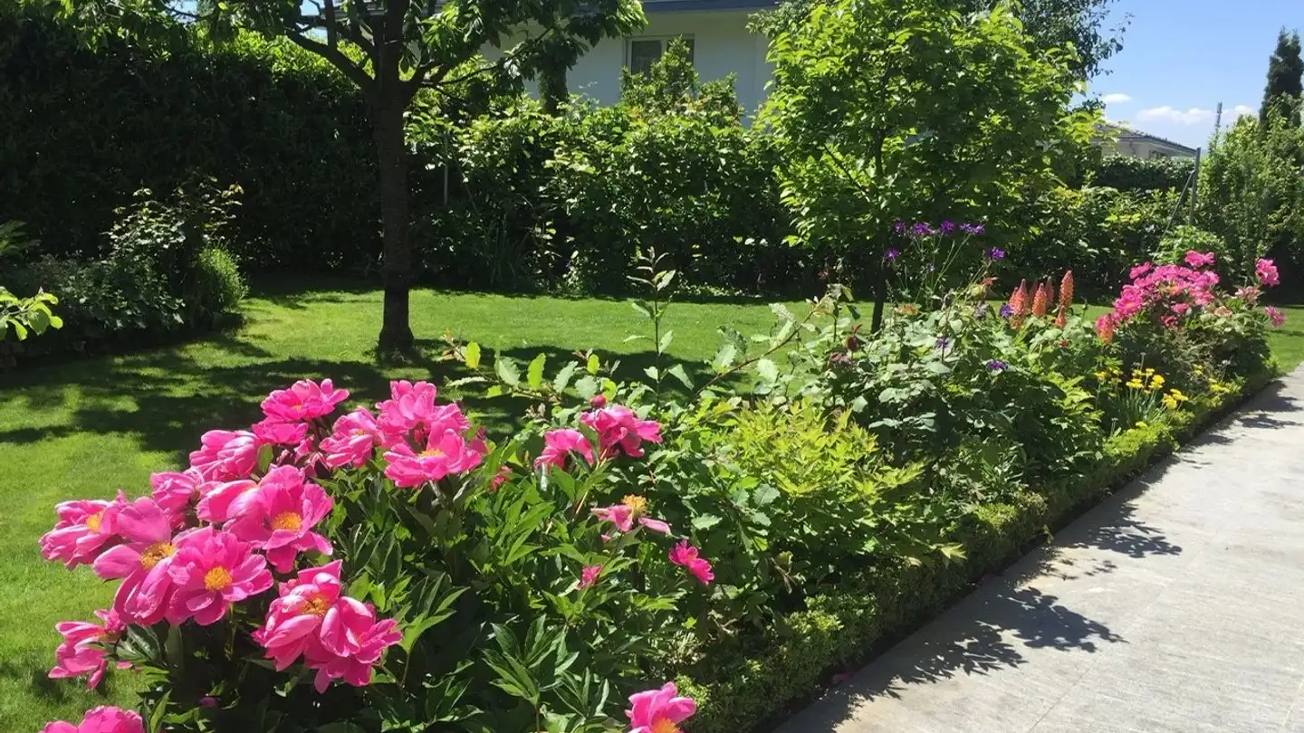 Einfamilienhaus kaufen - 1296 Coppet