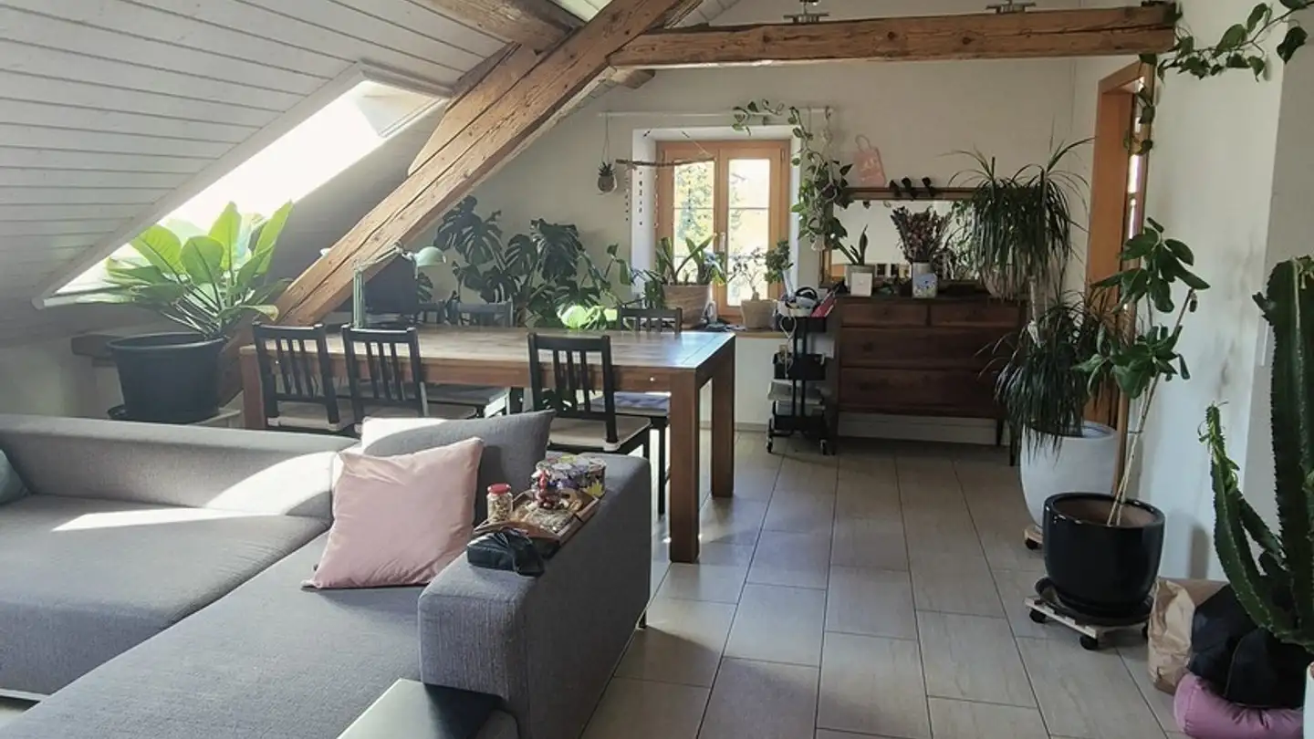 Wohnung mieten - Via Falera 8, 7031 Laax GR