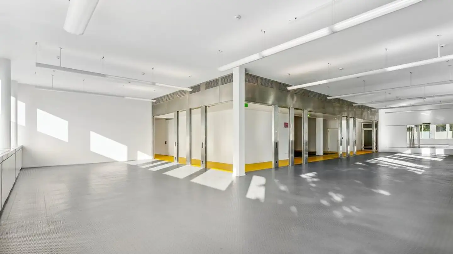 Commercial à louer - Soodstrasse 52, 8134 Adliswil - Photo 2