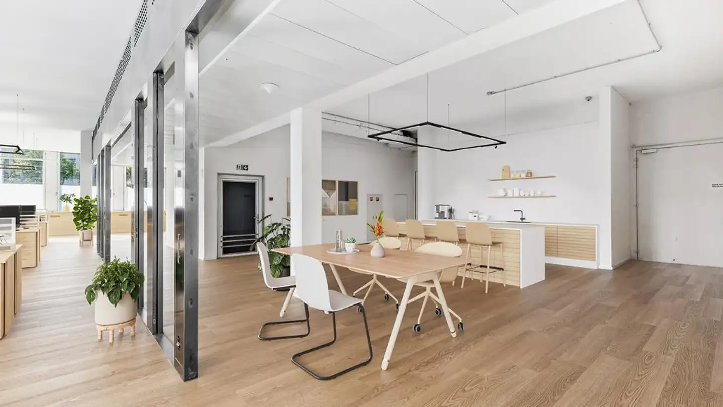 Commercial à louer - Soodstrasse 52, 8134 Adliswil - Photo 4