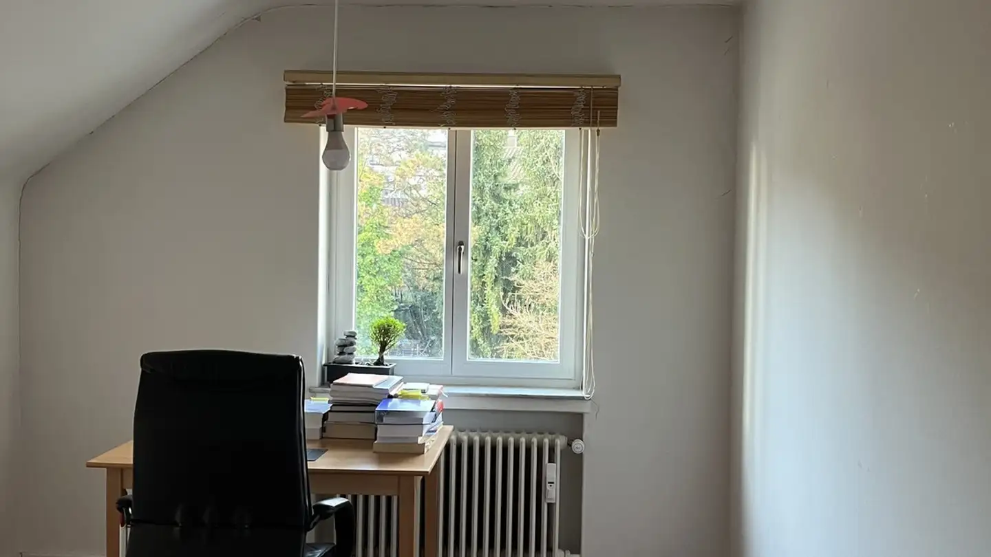 Single room for rent - 8802 Kilchberg ZH - Photo 3
