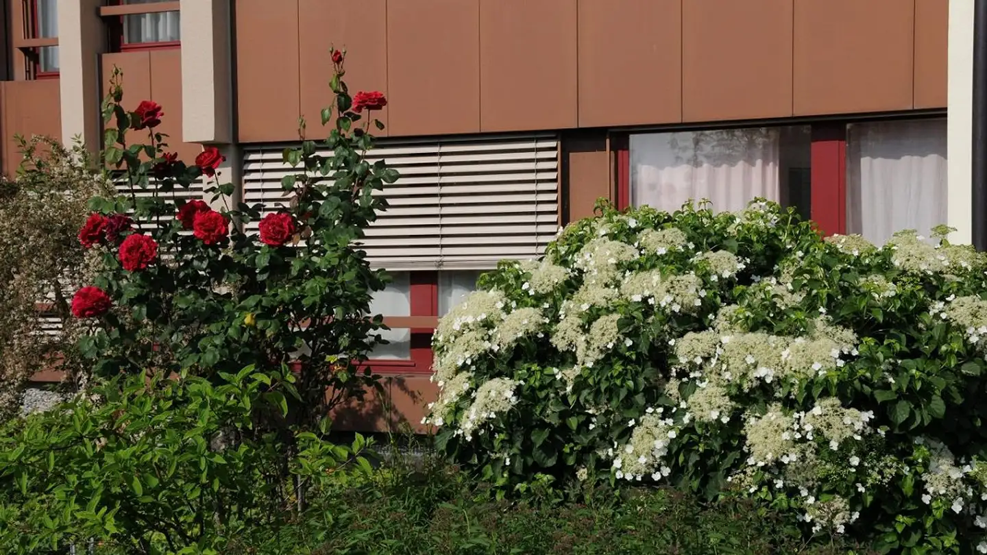 Wohnung mieten - Gaissbergstrasse 60, 8280 Kreuzlingen - Foto 3