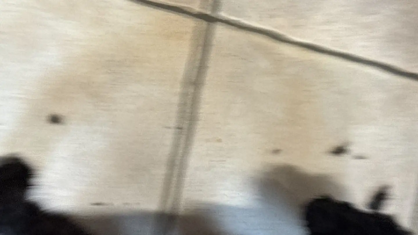 Commercial for rent - Mellingerstrasse 22, 5400 Baden - Photo 4