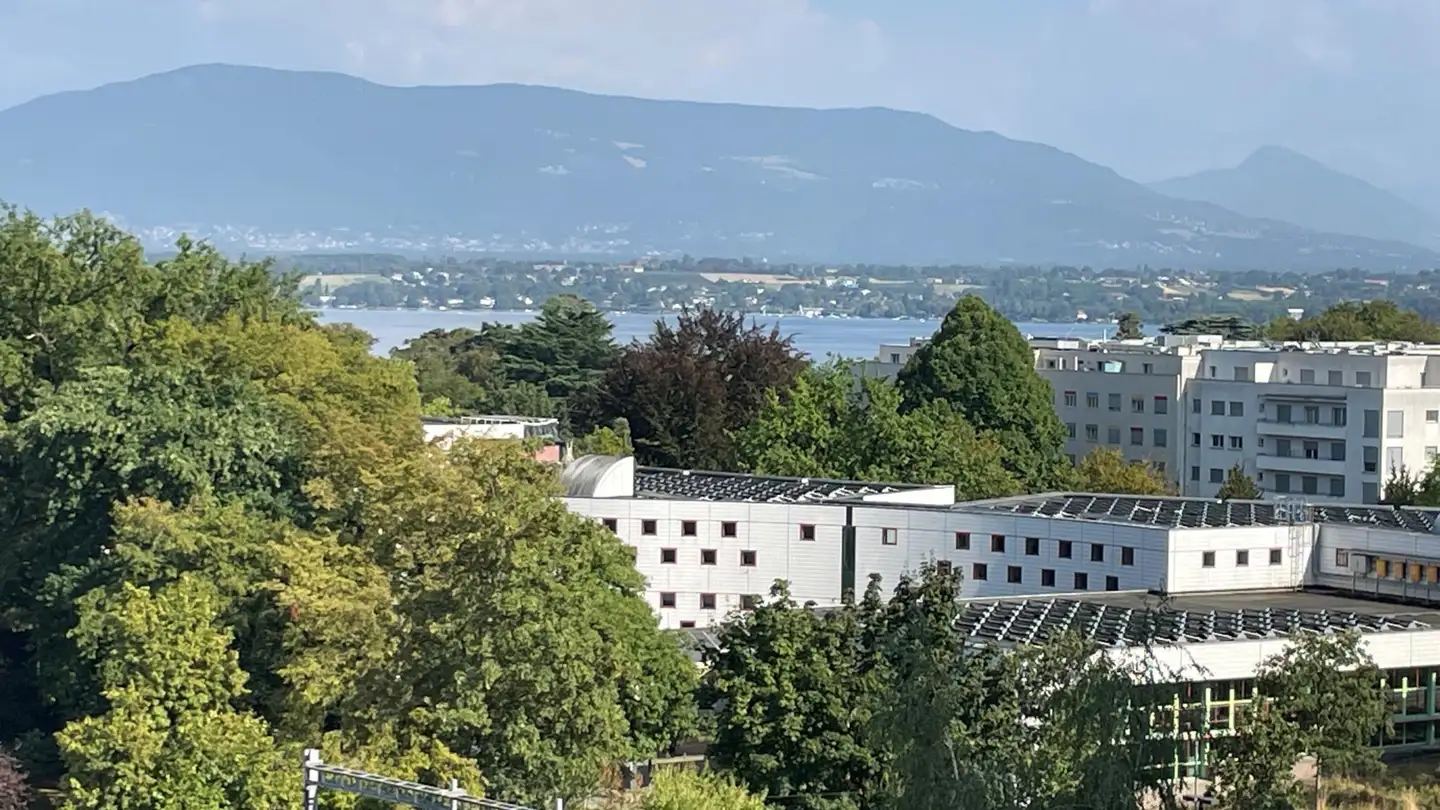 Apartment for sale - Chemin De Pont-Céard, 1290 Versoix
