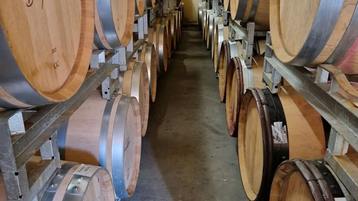 Fattoria in vendita - Route Du Camp 3, 2028 Vaumarcus - Photo 2