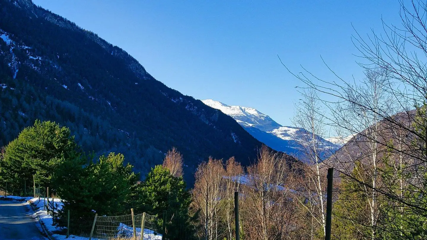 Constructible plot for sale - 3911 Ried-Brig - Photo 4