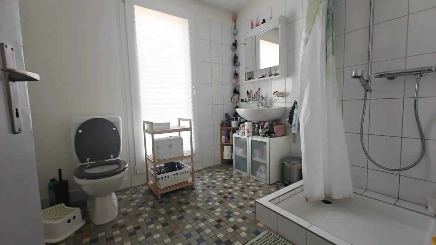 Single room for rent - Katzenbachstrasse 243, 8052 Zürich - Photo 2