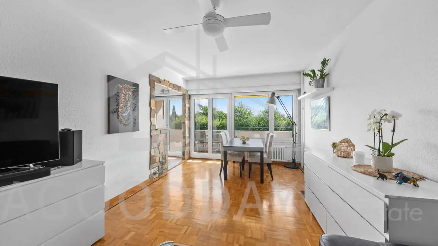 Appartamento in vendita - Chemin Ami- Argand, 1290 Versoix - Photo 3