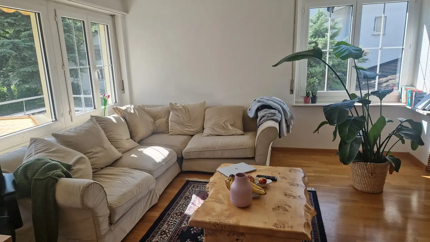 Appartamento in affitto - 8125 Zollikerberg