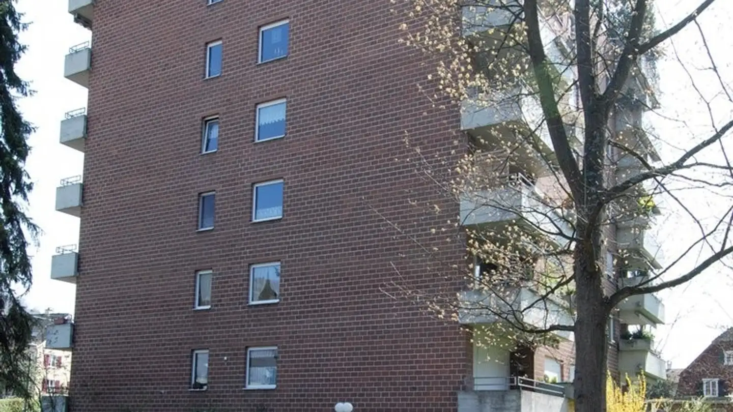 Garage singolo in affitto - Mattweg 98, 4144 Arlesheim - Foto 3