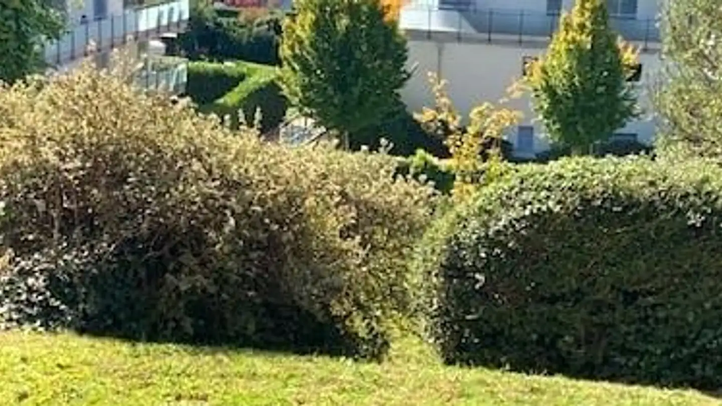 Studio à louer - Hesligenstrasse 6, 8700 Küsnacht ZH