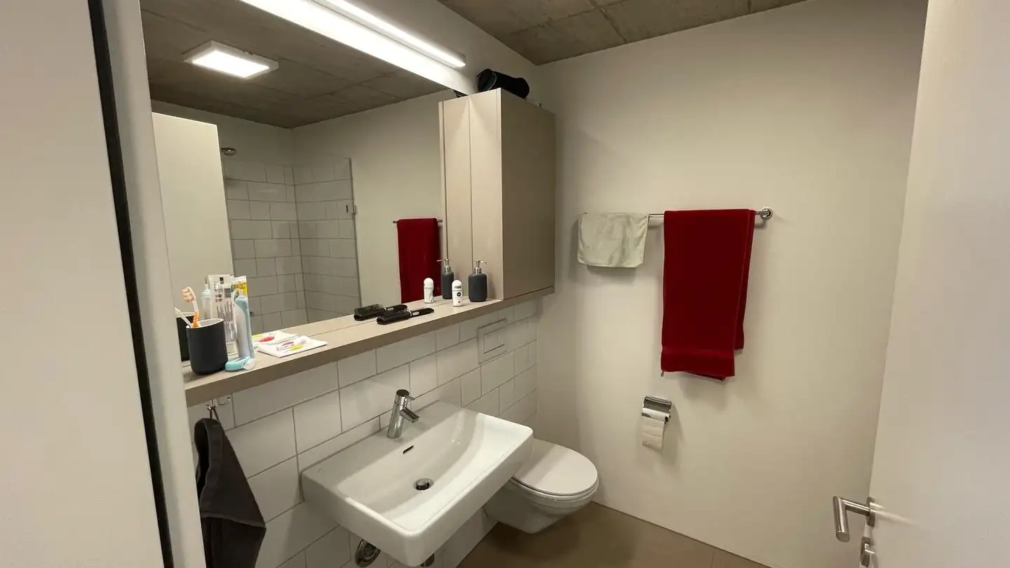 Appartamento in affitto - 4133 Pratteln - Foto 3