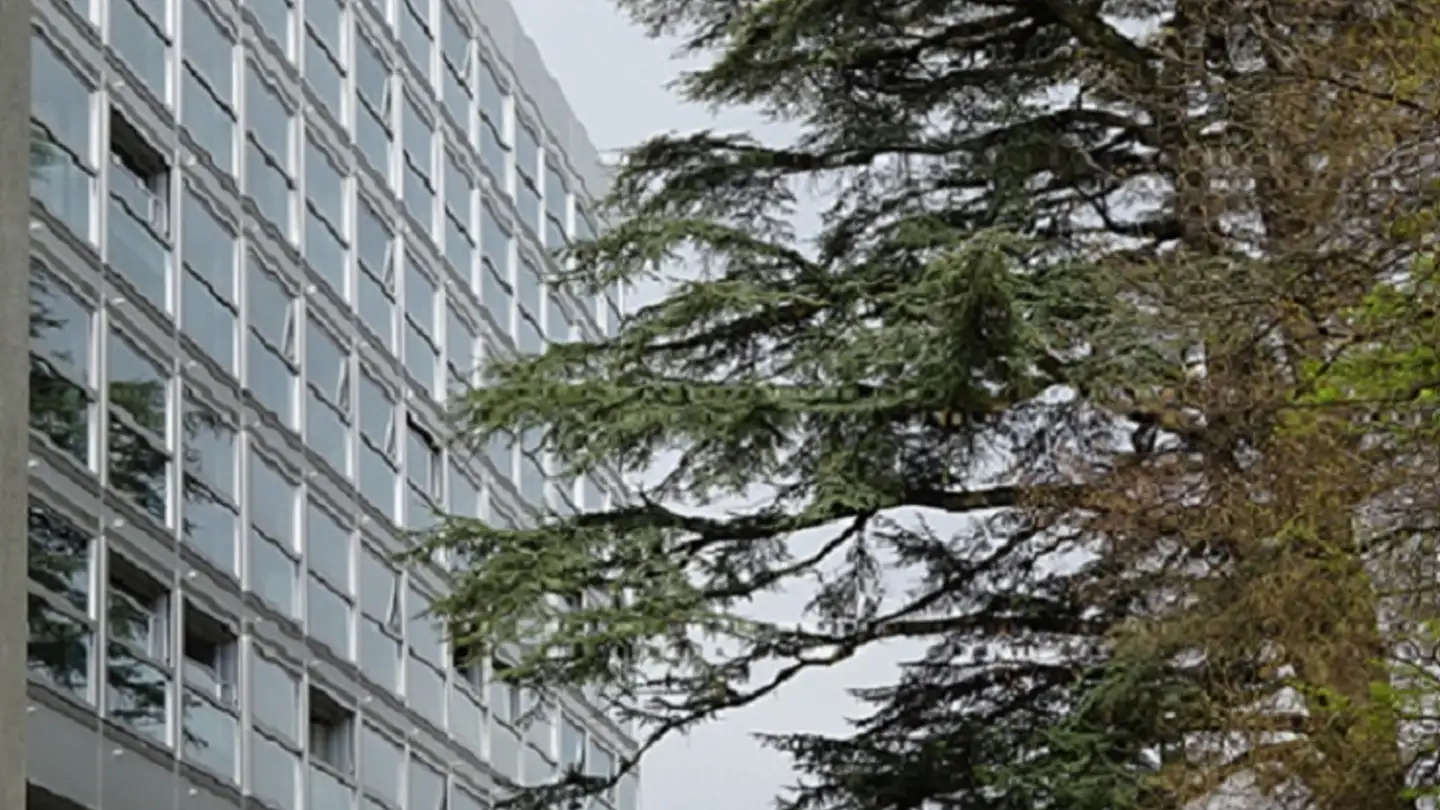 Appartamento in affitto - Avenue Du Bouchet 10, 1209 Genève
