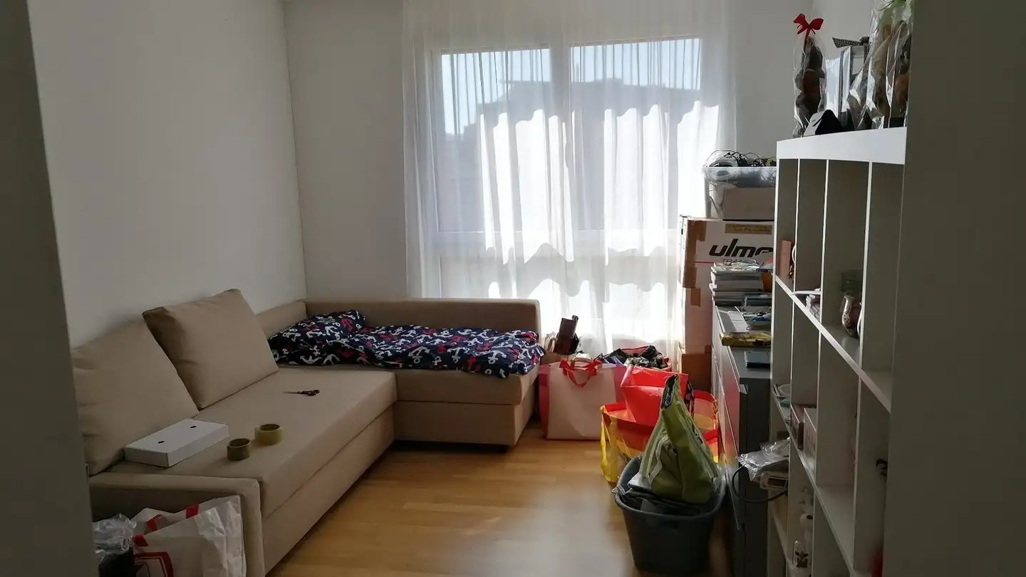 Appartamento in affitto - 5734 Reinach AG - Photo 2