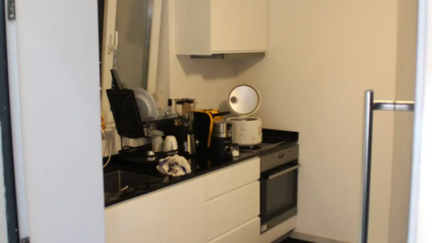 Studio in affitto - Haslibergstrasse 16, 8156 Oberhasli - Foto 2