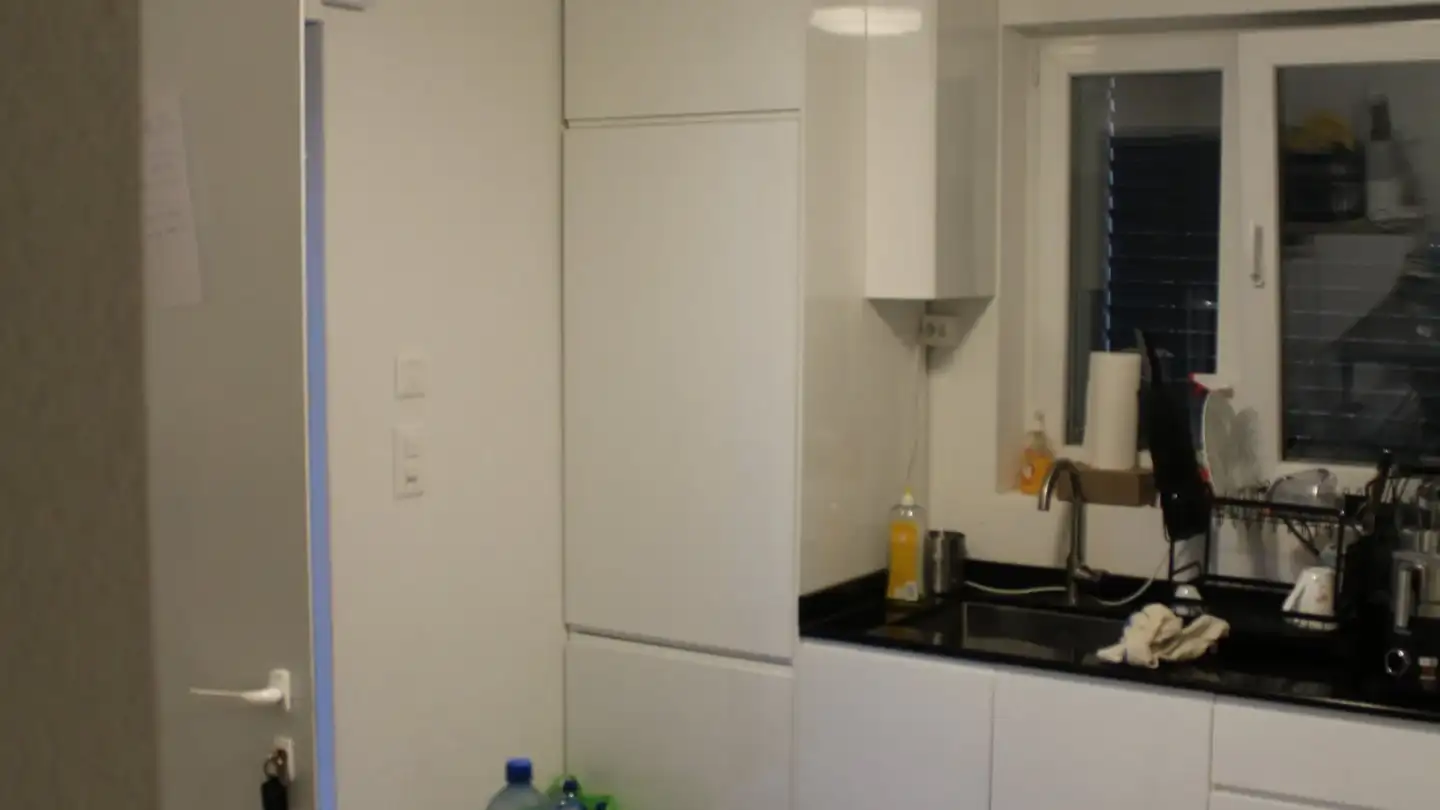 Studio in affitto - Haslibergstrasse 16, 8156 Oberhasli - Foto 3