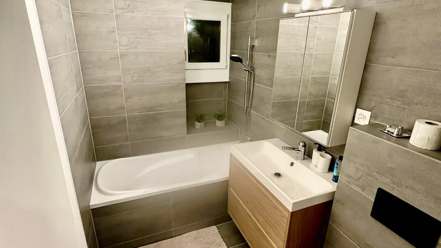 Single room for rent - Löwenstrasse 11, 8953 Dietikon