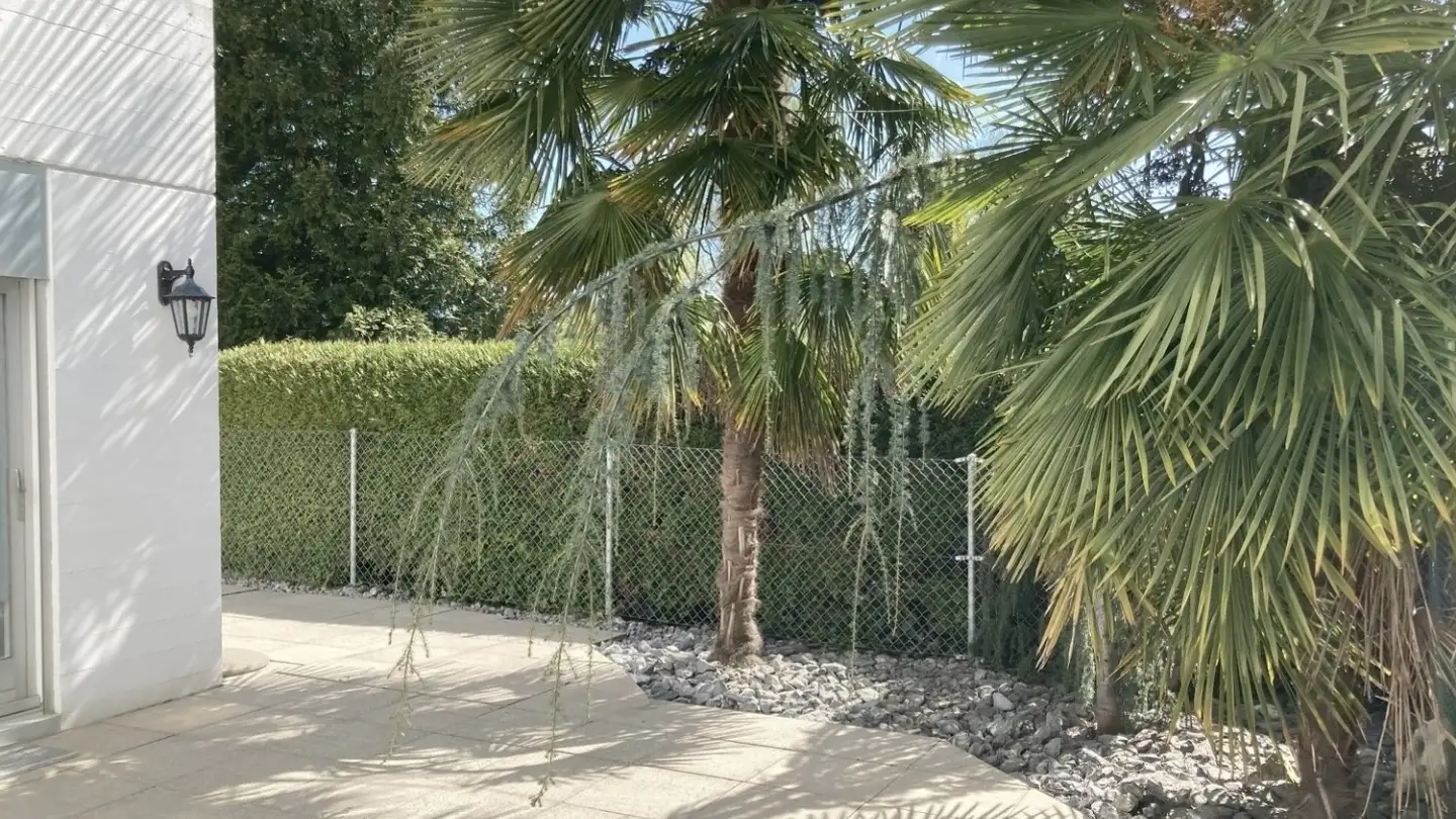 Apartment for rent - Max Gubler-Strasse 20, 8103 Unterengstringen - Photo 2