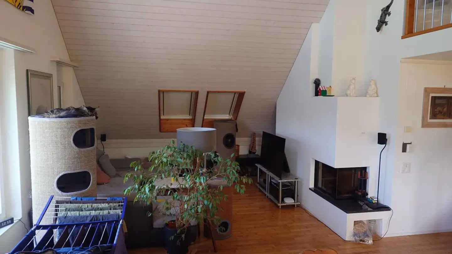 Apartment for rent - 8344 Bäretswil