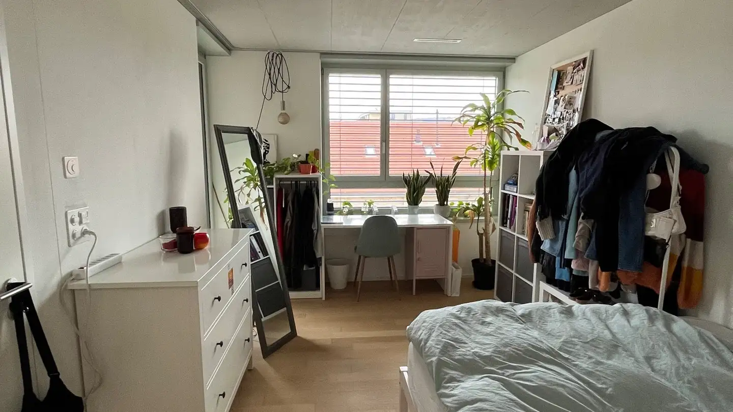 Stanza singola in affitto - 8038 Zürich - Photo 4