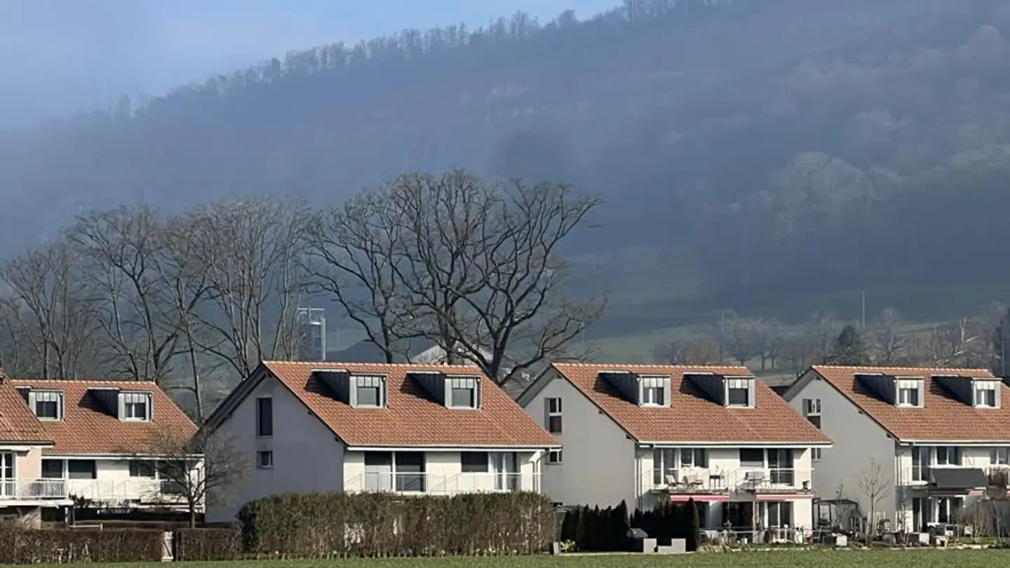 Maison jumelle à vendre - Am Kreuzbach 142, 4612 Wangen b. Olten