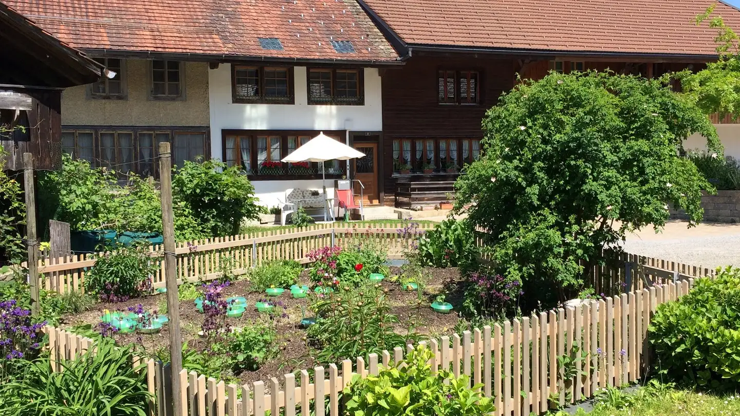 Casa singola in affitto - 8330 Pfäffikon ZH - Foto 2