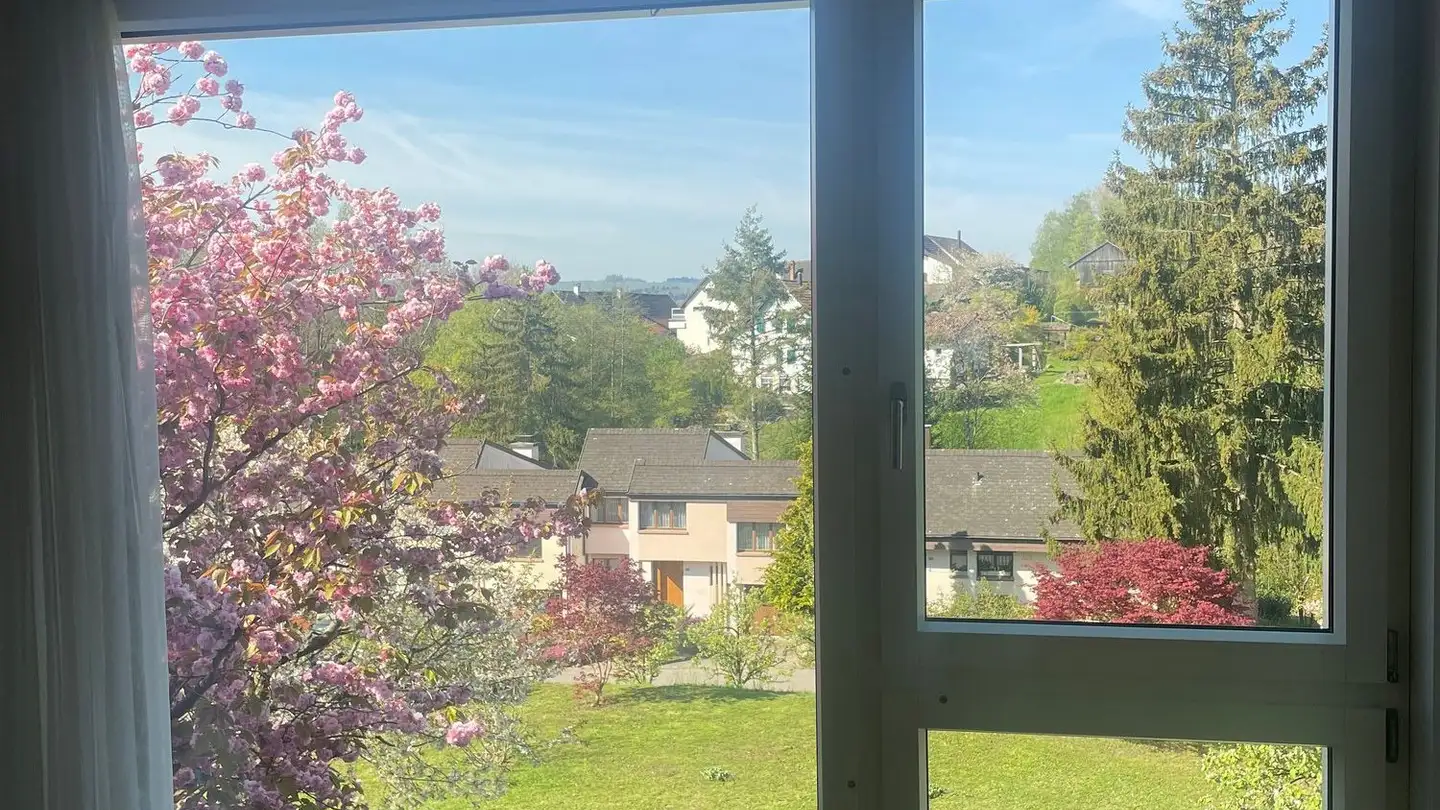 Appartement en terrasse à louer - Im Geeren 38, 8112 Otelfingen - Photo 4