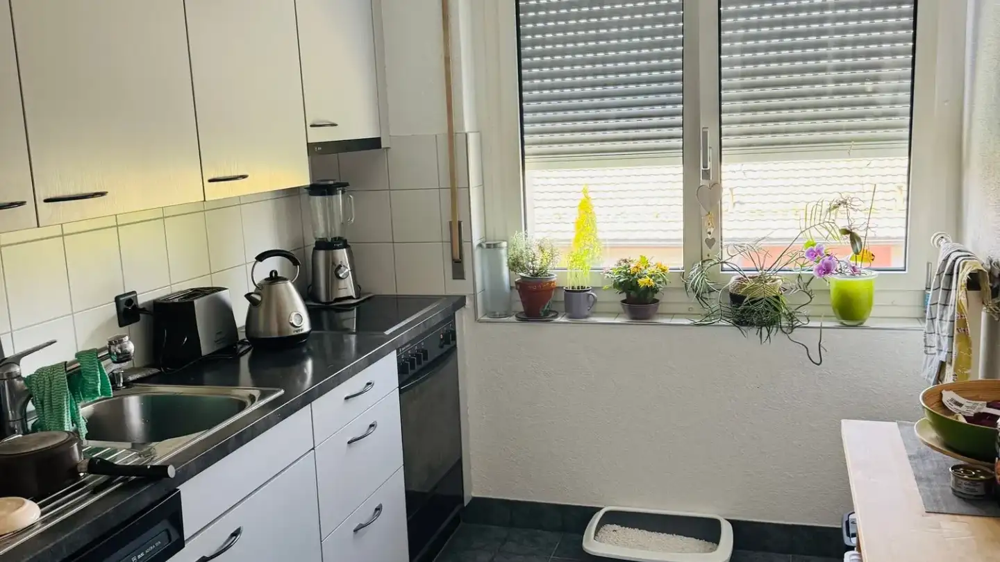Apartment for rent - Im Späten 26, 8906 Bonstetten - Photo 4