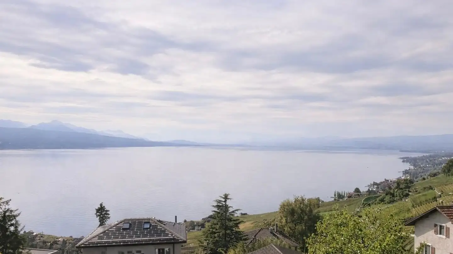 Maison individuelle à vendre - 1091 Grandvaux