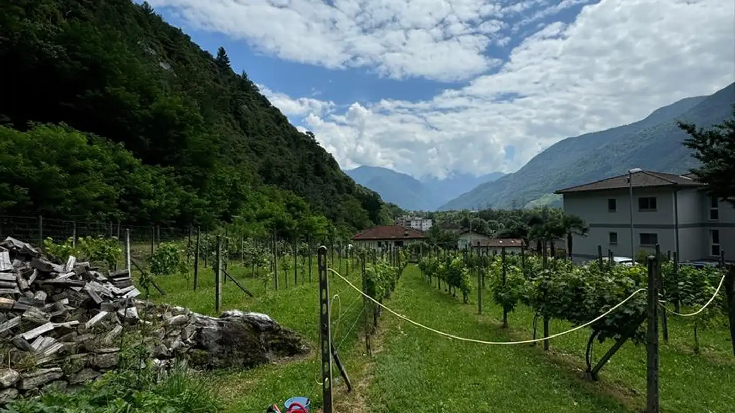 Constructible plot for sale - 6705 Cresciano - Photo 2